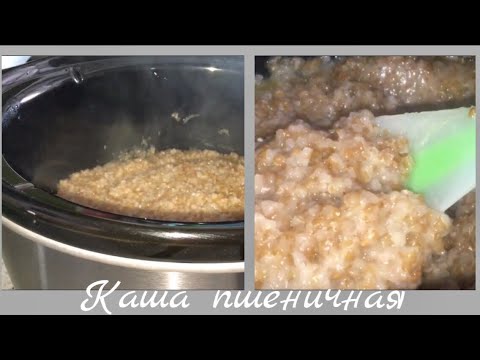 Видео: Каша пшеничная в медленноварке.