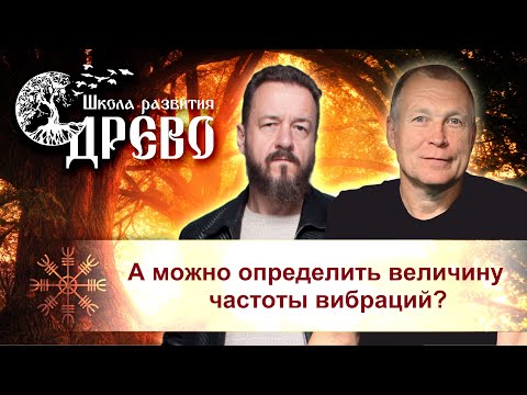 Видео: А можно определить величину частоты вибраций?