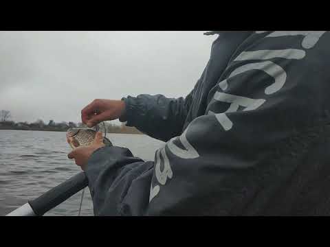 Видео: Браконьерство с. Любитов Ковельський р-н