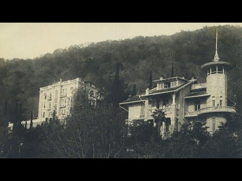 Видео: Что скрывалось в Абхазских джунглях. Неожиданная находка. Спасли кошку