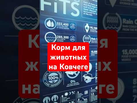 Видео: Секреты Ковчега: мог ли Ной прокормить всех животных? | #НоевКовчег