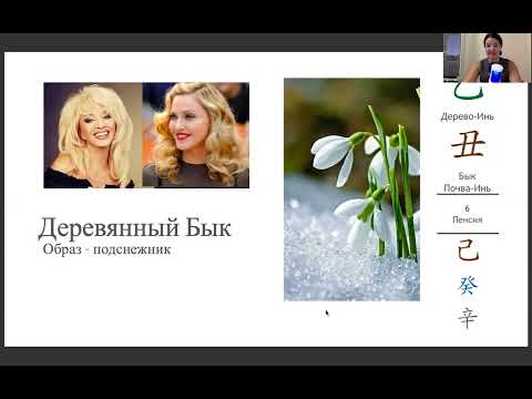Видео: 2 столп 60 ДЗЯ ДЗЫ. Деревянный Бык. Карта Ба Цзы Мадонны и Ирины Аллегровой. Дерево инь на Быке .