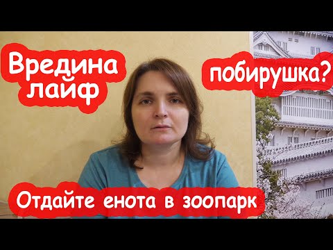 Видео: VLOG Блогер миллионник побирается