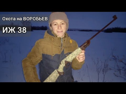 Видео: Охота на ЗАЙЦЕВ и ВОРОБЬЕВ с воздушкой ИЖ 38