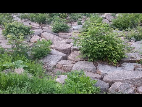 Видео: 12. Нужен ли сам постриг?