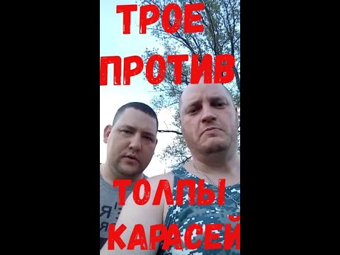 Видео: три рыбака против толпы карасей#ДонДимон