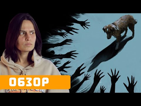 Видео: "Глазами пса": обзор фильма про хорошего мальчика