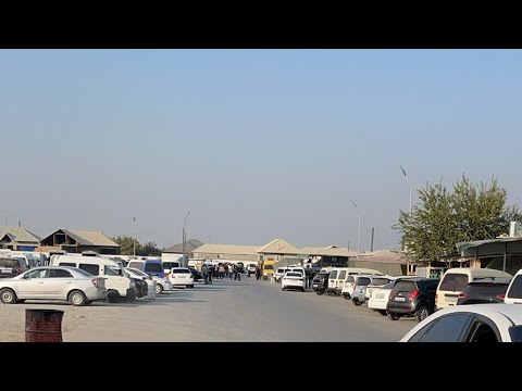 Видео: Олтиариқ узум бозори
