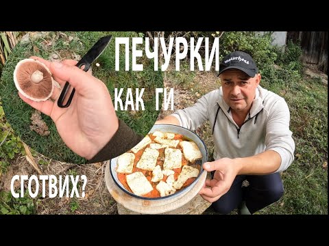 Видео: КАК СГОТВИХ ПЕЧУРКИТЕ - ГЪБИ ПО ДИЛЯНСКИ! HOW I COOCKED THE MUSHROOMS #mushroom #гъби#forageharvest