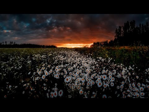 Видео: Настя Тропицель - Общение после смерти 01.09.2020 г. «Отдайте мне любовь…»