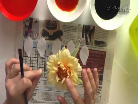 Видео: видео нарцисс