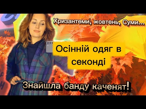 Видео: Примірка осіннього одягу в секонді: чи вдалося щось знайти? Як обрати шовк і правильно його прати