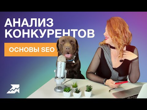 Видео: Основы SEO: Охота на конкурентов или как успех других принесет пользу вам