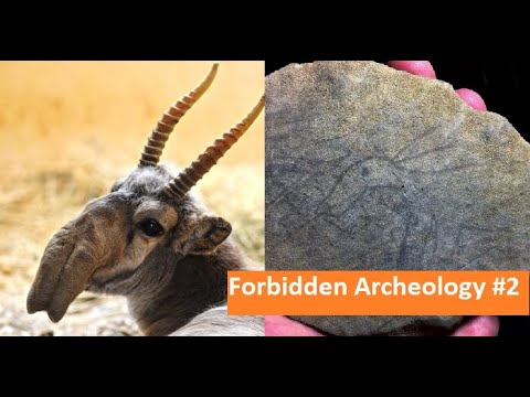 Видео: Запретная археология. Эпизод 2