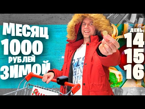 Видео: МЕСЯЦ НА 1000 рублей ЗИМОЙ ❄ ДЕНЬ 14, 15, 16 🛒💰 АШАН ТЕЛЕЖКИ по 10 РУБ / ПИТА / Домашний ДОШИРАК