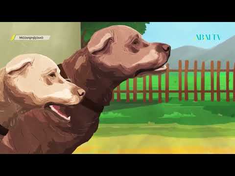 Видео: Мазмұндама “Шұғаның белгісі”