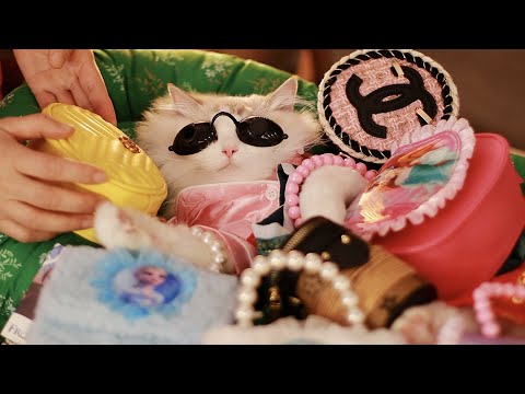 Видео: Помогите выбрать сумочку для красной дорожки! | Спа для кошек ASMR - Ep. 10-2