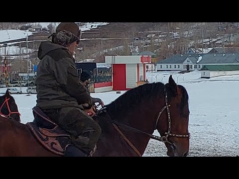 Видео: МУСОБИКАИ БУЗКАШИ АЗ  РАИСИ САЙМУДИН САГИРДАШТ 2022. HDD.