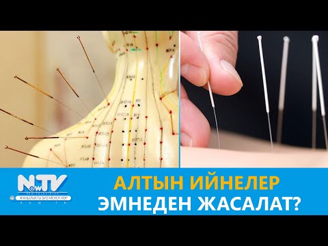Видео: АЛТЫН ИЙНЕЛЕР ЭМНЕДЕН ЖАСАЛАТ?