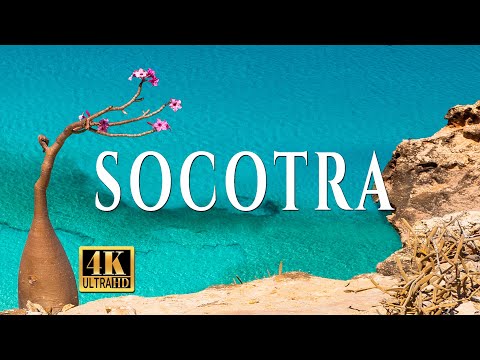 Видео: Весна на Сокотре / The spring in Socotra, Yemen 4K [EN subtitles]