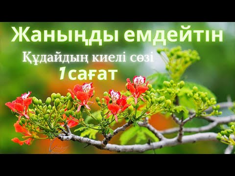 Видео: Жаныңды Сауықтыратын Киелі Кітаптың аяттары. Жан тыныштығы. Библия на казахском!