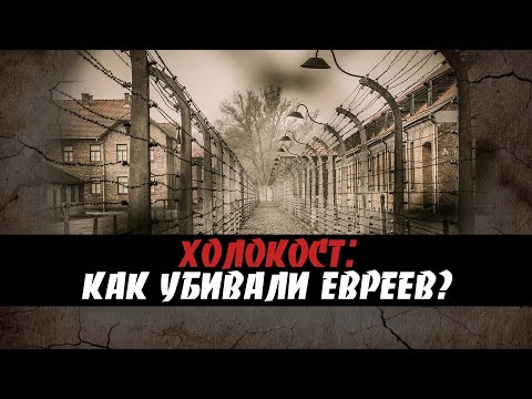 Видео: Увиденное ужаснуло даже главу СС! Холокост в Беларуси: как это было? // Реальные истории