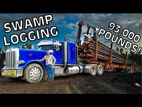 Видео: День из жизни водителя лесовоза на болотах Флориды