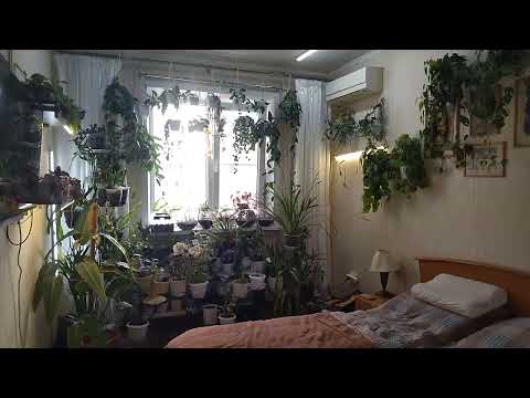 Видео: Полный раскардаш во спасение растений.