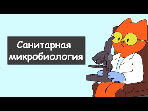 Видео: ВСЕ ПРО САНИТАРНУЮ МИКРОБИОЛОГИЮ ДОСТУПНЫМ ЯЗЫКОМ