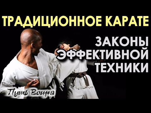 Видео: Традиционное Карате: законы эффективной техники.