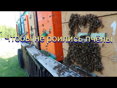 Видео: Как предотвратить роение на пасеке.