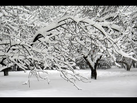 Видео: ЗАМЕТАЕТ ЗИМА ЗАМЕТАЕТ...