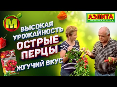 Видео: 🌶️ Острые Перцы на 2021 год. Жгучий вкус. Высокая урожайность.