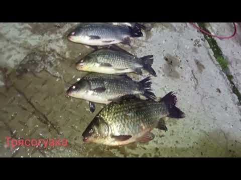 Видео: Для фидера и пружин!