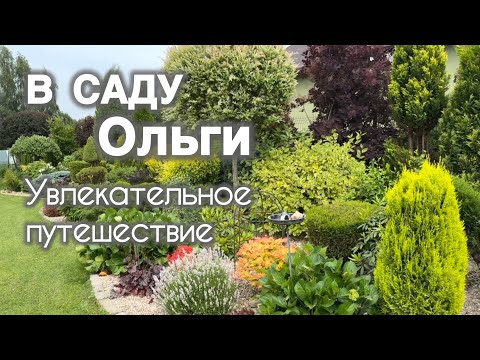 Видео: В саду Ольги! Очарование и восторг!  Сад находка для садовода ценителя!