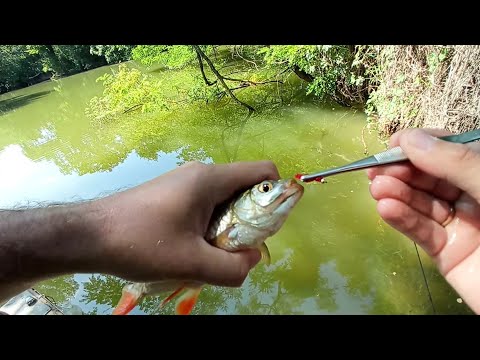 Видео: Мормышинг в обед: плотва/ красноперка/ уклейка/