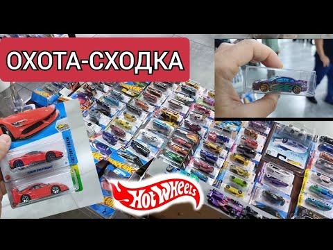 Видео: СХОДКА ХОТ ВИЛС 05-10-2025