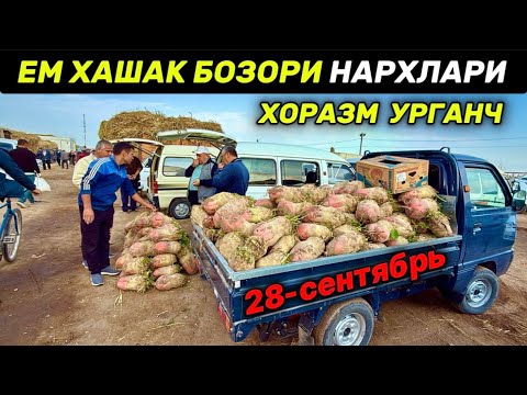 Видео: ХОРАЗМ ЎТ, ЕМ, ХАШАК БОЗОРИ НАРХЛАРИ 28-сентября 2025 г.