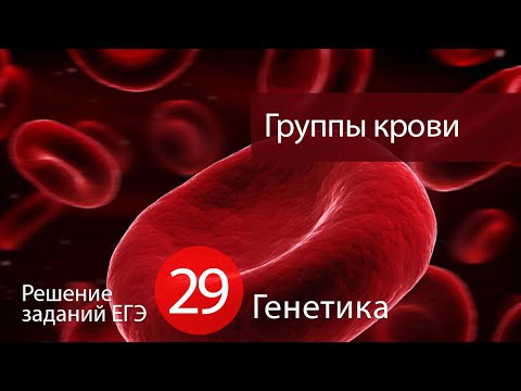 Видео: ЕГЭ № 29: Определение групп крови