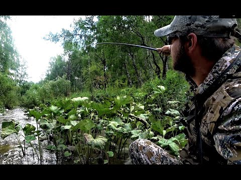 Видео: СЛУЧАЙНО ПОПАЛ НА РУЧЕЙ 10 см ГЛУБИНА РЫБЫ КИШИТ!! Рыбалка на Алтае