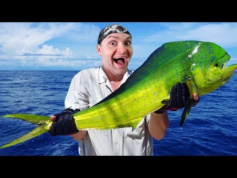 Видео: РЫБА МОЕЙ МЕЧТЫ! ► Fishing Strike