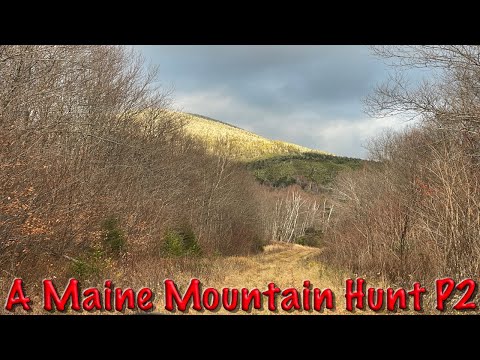 Видео: Охота в горах Мэна, ч. 2