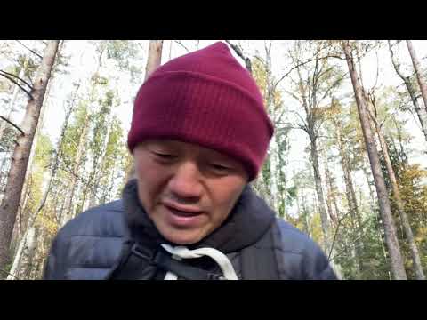 Видео: Ымсыы санаа көҥүлү сарбыйар