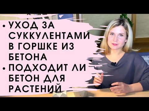 Видео: Как ухаживать за суккулентами в бетонном горшке или в кашпо из цемента.