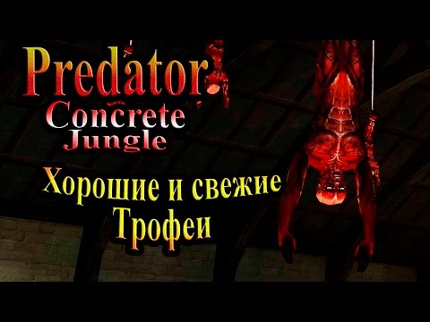 Видео: Прохождение Хищник Бетонные Джунгли (Predator Concrete Jungle) - часть 3 - Хорошие и свежие Трофеи