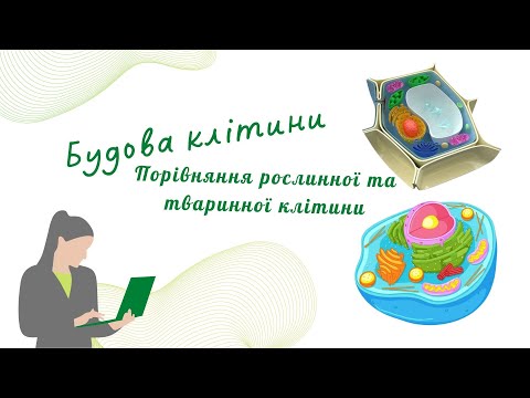 Видео: Будова клітини. Загальний план. Порівняння рослинної і тваринної клітин.