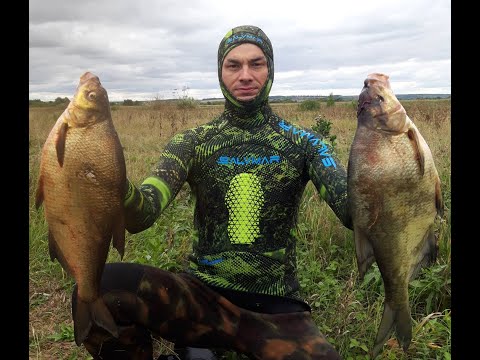 Видео: Осенняя Охота на Крупного Стайного Леща!подводная охота 2022