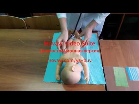 Видео: патронаж новорожденных на казахском