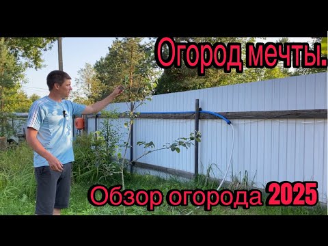 Видео: Огород мечты! Обзор сада и огорода 2025