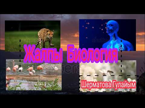 Видео: 11 класс . Биология . Тема: Биоценоз жана анын структурасы Шерматова Гүлайым Куданычбековна